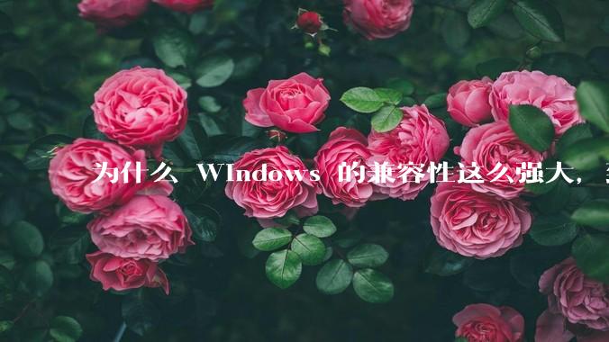 为什么 Windows 的兼容性这么强大，到底用了什么技术？
